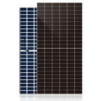 двулицев фотоволтаичен панел DAH Solar DHN-48Z16/DG(BW) 460W N-Type